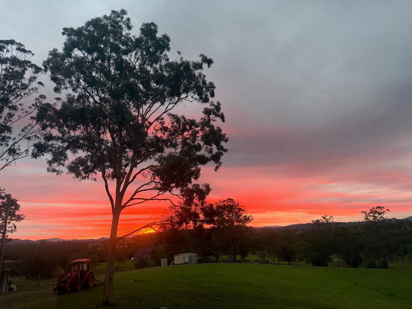 The sky going red over the western hills at Tuchekoi, seen from the lawn