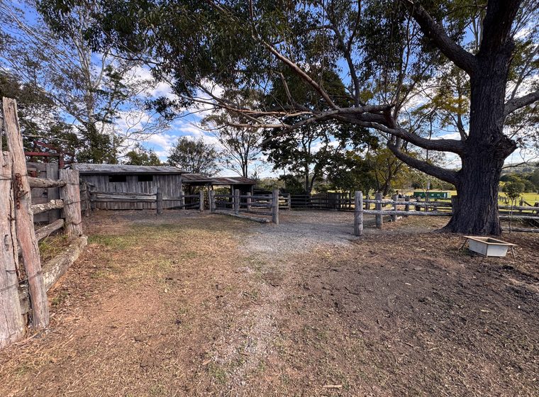 The yards from the gateway, looking through to the paddocks