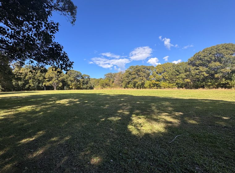 The level grassed parking area under the treeline