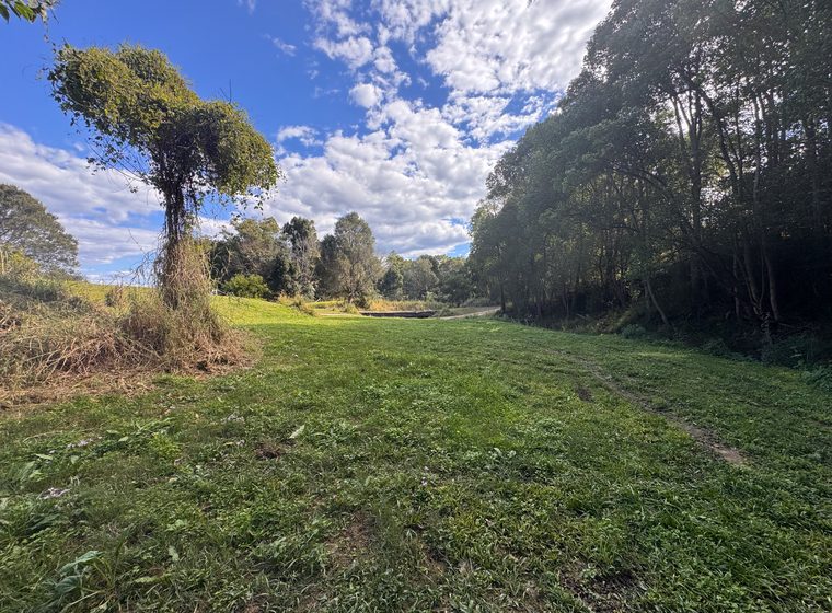 The open grass corridor running alongside Ironstone Creek