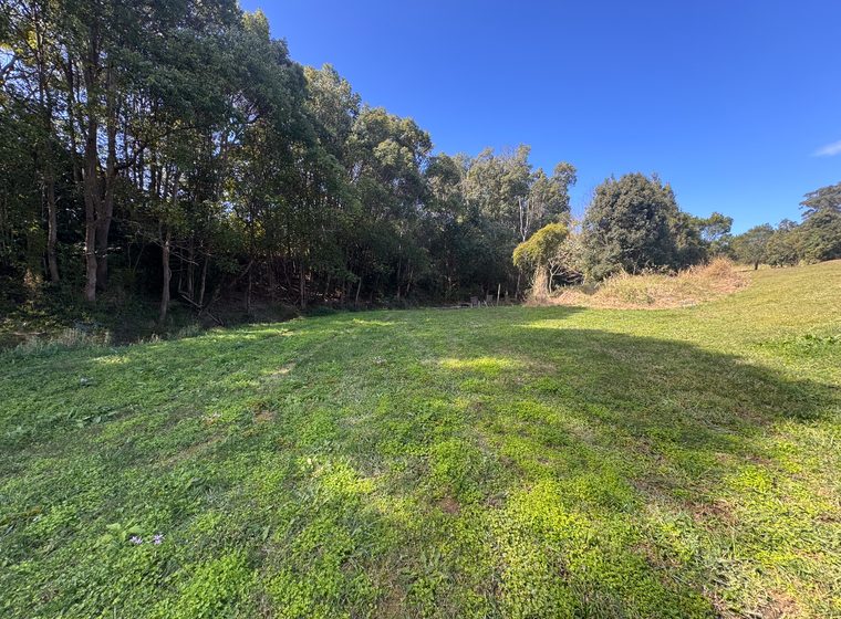 Mown bank falling away toward the creek line