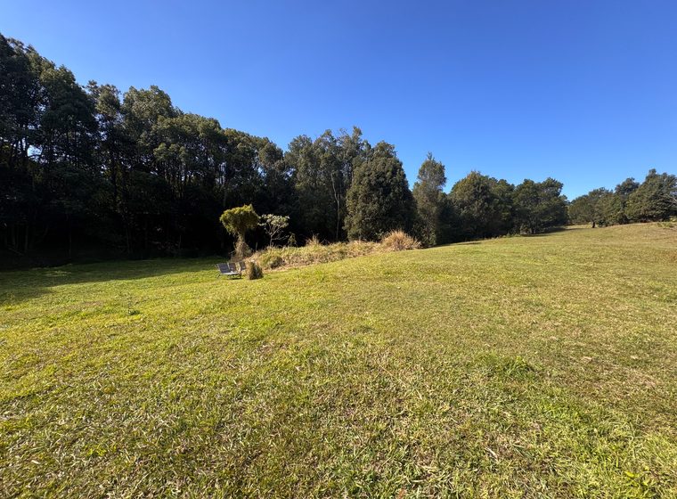 The open ground above the creek, looking toward the treeline
