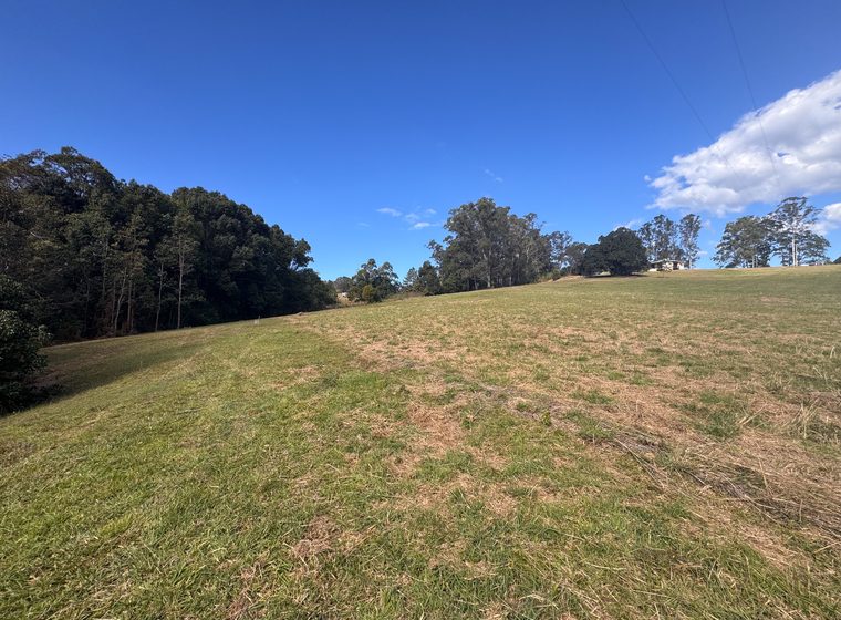 The fall of the lawn from its southern edge, showing the slope between the tiers