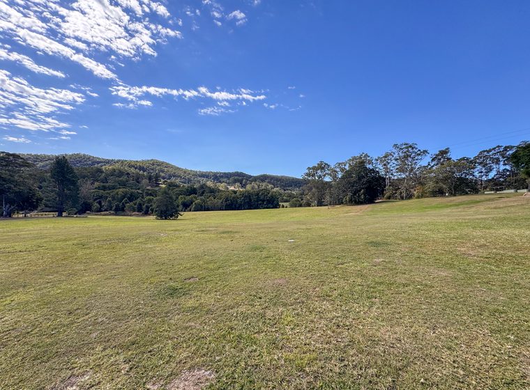 The north lawn looking toward the treeline and the ridge beyond