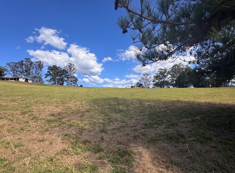 The lawn from under the centre tree, looking out across the open ground