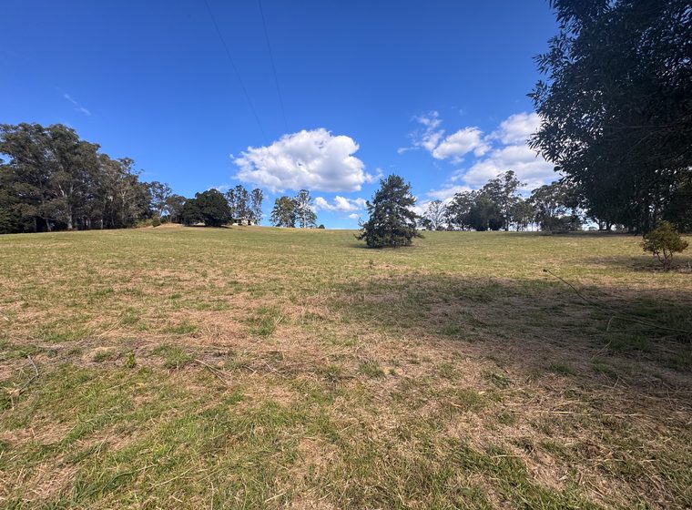 The southern lawn and its treeline