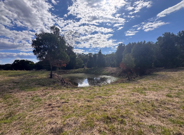 The lower dam sitting at the edge of the lawn