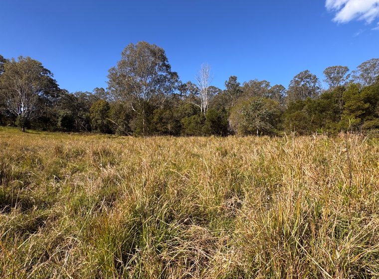 Long grass and scrub on the approach to the Outpost