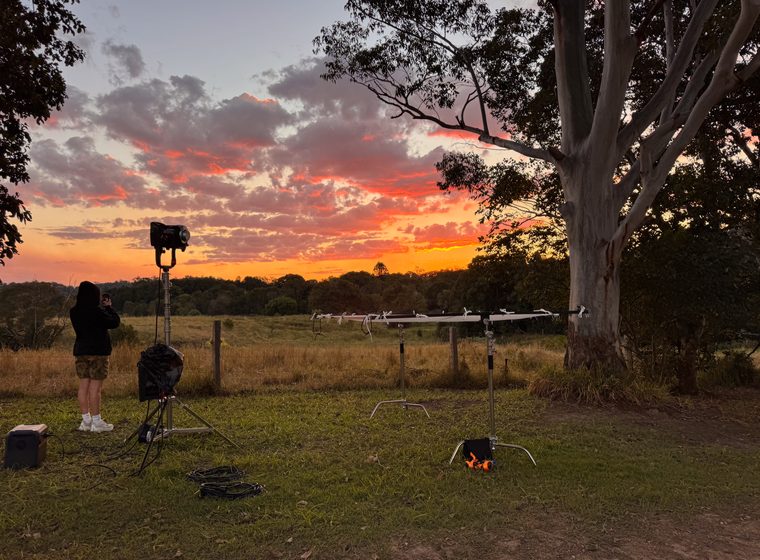 Golden hour at Sunset Spot, looking west over the fence line