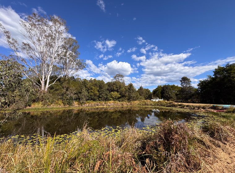 The dam from the side, showing the full water body
