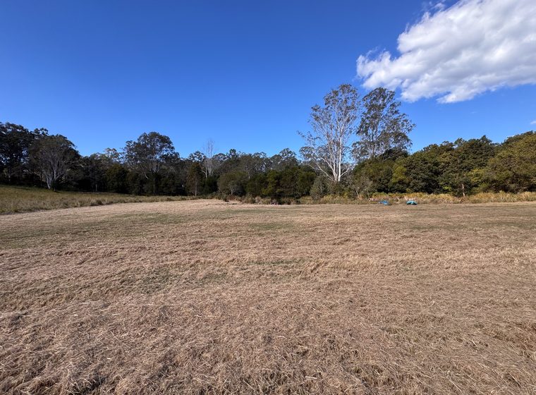 The open ground above the dam, looking to the treeline