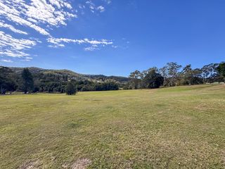 The open lawn