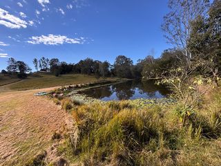 The lily dam
