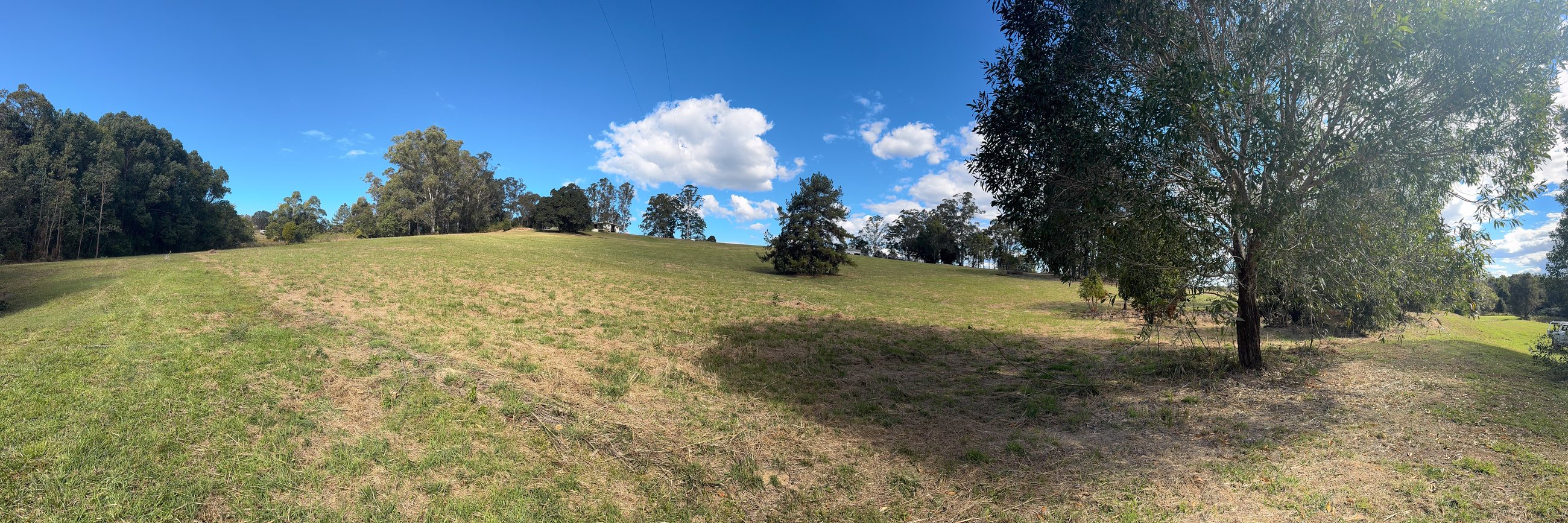 Panorama across the lawns at Tuchekoi from the southern end, the centre tree in frame