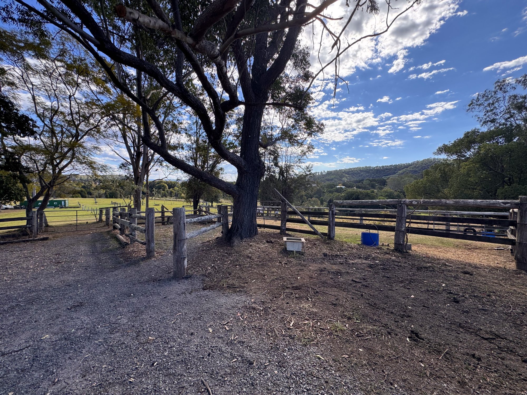 The Barn Inn timber yards under the big fig at Tuchekoi, hinterland ridgeline behind