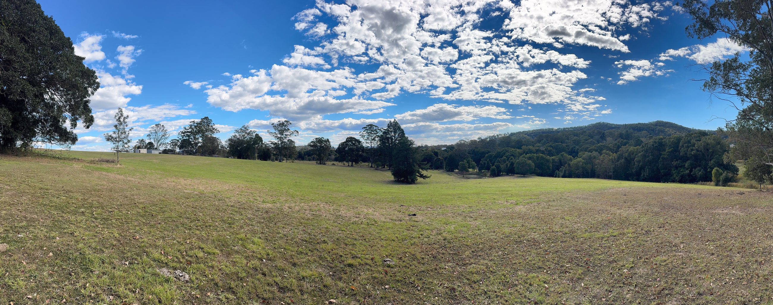 Panorama of the lawn at Tuchekoi from the northern end, hinterland ridgeline behind